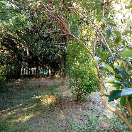 Acogedora Casa De Campo Con Piscina San Pantaleon