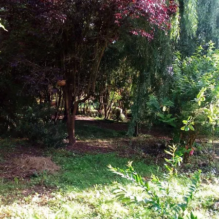 Acogedora Casa De Campo Con Piscina فيلة *